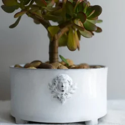 Jardiniere De Mon Jules