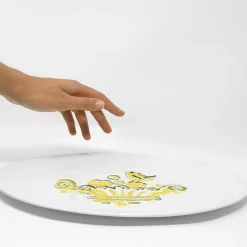 Plat Ovale Oiseau Roi