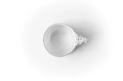 Tasse Marie-Antoinette